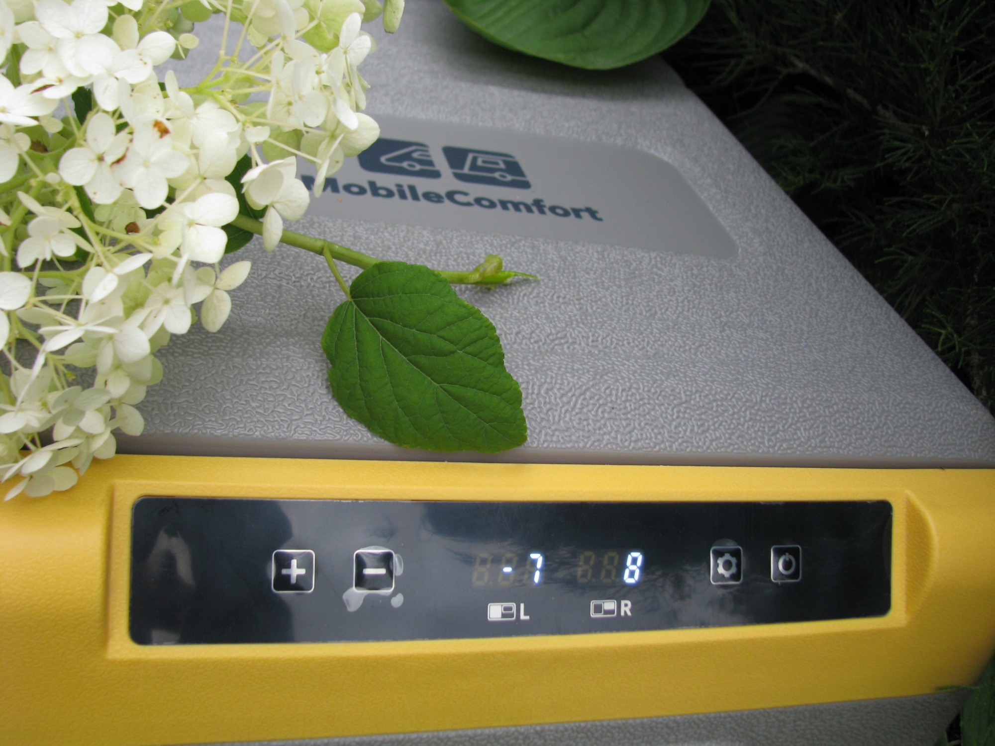 фото Холодильник MobileComfort MC-55 портативный компрессорный 41 литр, до -20С, питание 12/24/220V